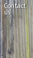 'Contact us' heading (image of weathered corrugated iron)