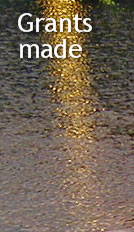 'Grants made' heading (reflections on water)