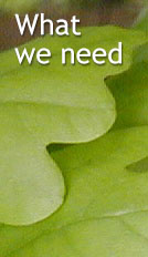'What we need' heading over an oak leaf